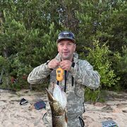 ���������� ������, ���� ������� ������, 44 ����, ������������ ��� ���������