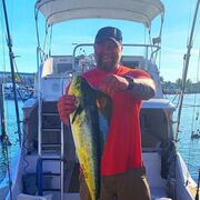  ,   Willams, 51 ,   ,   