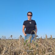  ,   Ann, 41 ,   c 