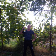 ���������� ���������, ���� ������� ���������, 50 ���, ������������ ��� ����� � ���������, c�������� ���������