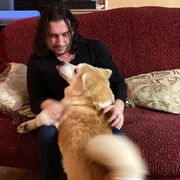 ���������� ������, ���� ������� ������, 44 ����, ������������ ��� ������, ����� � ���������