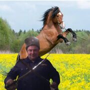 ���������� ���������, ���� ������� ���������, 48 ���, ������������ ��� ������, ����� � ���������