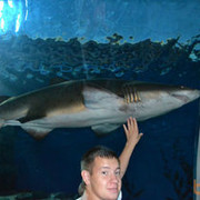 ���������� ������, ���� ������� �����, 36 ���, ������������ ��� ������, ����� � ���������, c�������� ���������