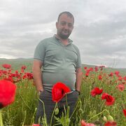 ���������� ������, ���� ������� �����, 37 ���, ������������ ��� ������, ����� � ���������, c�������� ���������