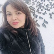 ���������� �����, ���� ������� ������, 33 ����, ������������ ��� c�������� ���������, ���������