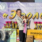 ���������� �������, ���� ������� ����, 49 ���, ������������ ��� ������, ����� � ���������, c�������� ���������