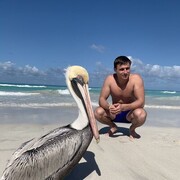 ���������� ������, ���� ������� �������, 36 ���, ������������ ��� ������, ����� � ���������