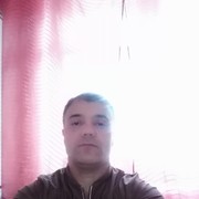  ,   , 44 ,  