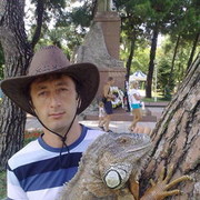  ,   , 44 ,   