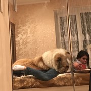  ,   , 37 ,  