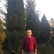 Jelcz,  Punhan, 54