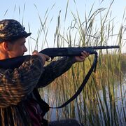 ���������� �������, ���� ������� �������, 40 ���, ������������ ��� ������, ����� � ���������, c�������� ���������