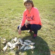 ���������� ������, ���� ������� �������, 43 ����, ������������ ��� ������, ����� � ���������, c�������� ���������