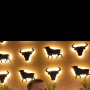 ���������� ������, ���� ����� ����, 19 ���, ������������ ��� ������, ����� � ���������