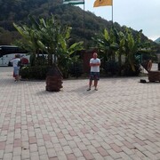 ���������� ��������, ���� ������� ���, 39 ���, ������������ ��� ������, ����� � ���������