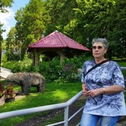 ,   , 66 ,   ,   