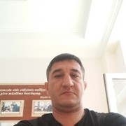  ,   Zayka, 35 ,   ,   , c , 