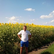 ���������� ����, ���� ������� �������, 43 ����, ������������ ��� ������, ����� � ���������, c�������� ���������