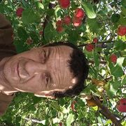 ���������� ����-�����������, ���� ������� �������, 48 ���, ������������ ��� ������, ����� � ���������