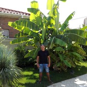  ,   , 48 ,   