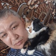 ���������� ������, ���� ������� ���, 43 ����, ������������ ��� ������, ����� � ���������