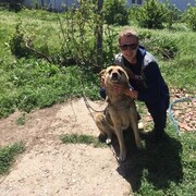 ���������� �������, ���� ������� Ҹ��, 31 ���, ������������ ��� ������, ����� � ���������