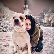  ,   , 26 ,     , c , 