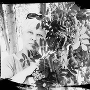  ,   , 48 ,   