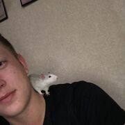 ���������� ����, ���� ����� �����, 24 ����, ������������ ��� ������, ����� � ���������, c�������� ���������