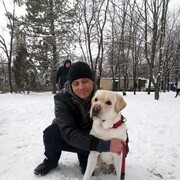 ���������� ��������, ���� ������� �������, 41 ���, ������������ 