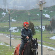 ���������� ������, ���� ������� ���������, 36 ���, ������������ ��� ������, ����� � ���������, c�������� ���������