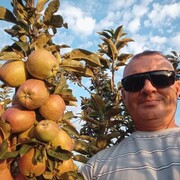 ���������� ��������, ������� ����, 47