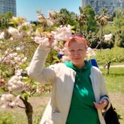 ���������� ����, ������� ����, 67