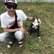 ���������� �������, ���� ������� ����, 42 ����, ������������ ��� ������, ����� � ���������