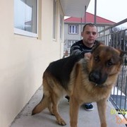 ���������� �������, ���� ������� ������, 42 ����, ������������ ��� ������, ����� � ���������, c�������� ���������