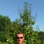 ���������� ������, ���� ������� �����, 53 ����, ������������ ��� ������, ����� � ���������, c�������� ���������