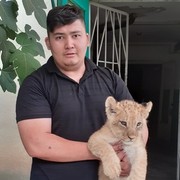 ���������� �������, ���� ������� VOVA, 32 ����, ������������ ��� ������, ����� � ���������, c�������� ���������, ���������