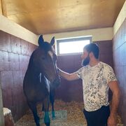 ���������� �����-���������, ���� ������� Rasul, 37 ���, ������������ ��� ������