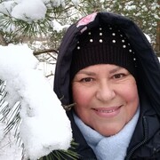 ���������� ����, ���� ������� �����, 65 ���, ������������ ��� ����� � ���������, c�������� ���������