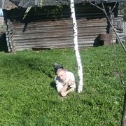  ,   , 37 ,   ,   , c 