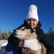 ���������� ����, �����