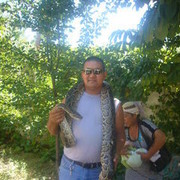  ,  BULA, 45