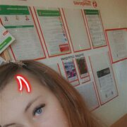  -,   , 24 ,   ,   , c 