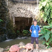  ,   , 29 ,   ,   , c 