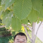  ,   Abror, 36 ,   ,   , c 