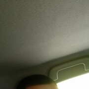 ���������� �����������, ���� ����� ������, 22 ����, ������������ ��� ������, ����� � ���������