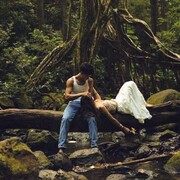 ���������� �������, ���� ������� ����, 33 ����, ������������ ��� ������, ����� � ���������