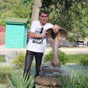 ���������� ������, ���� ������� ����, 43 ����, ������������ ��� ����� � ���������, c�������� ���������