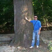  ,   German, 41 ,     , 