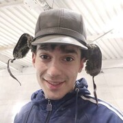 ���������� �����������, ���� ������� ��������, 26 ���, ������������ 